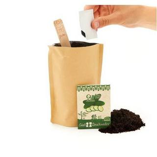 Stadtgärtner  Minigarten Gurke 