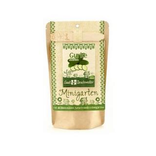 Stadtgärtner  Minigarten Gurke 