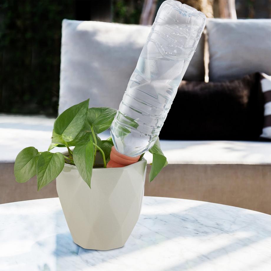 B2X  Tonkegel zur Bewässerung im 6er-Set 