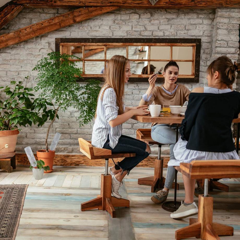 B2X  Tonkegel zur Bewässerung im 6er-Set 