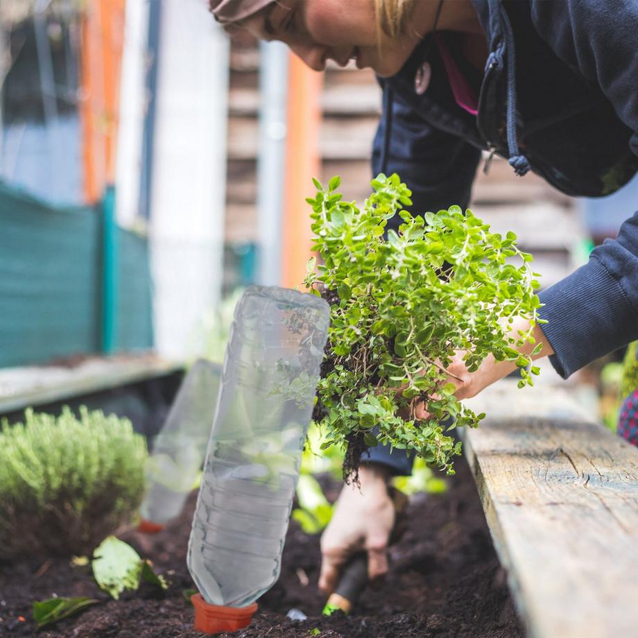B2X  Tonkegel zur Bewässerung im 6er-Set 