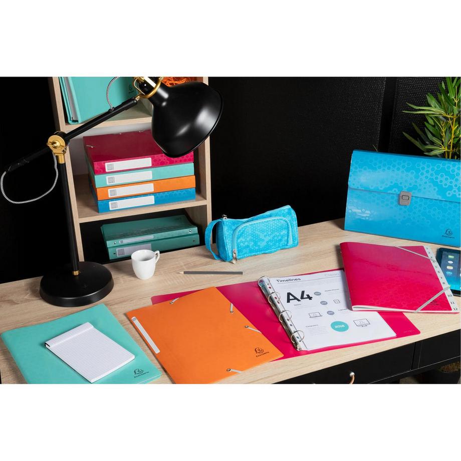 Exacompta Ringbuch A4 Recycling-PP, 2 Ringe 30mm, Maïa - x 12  