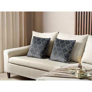 Beliani Set di 2 cuscini en Velluto Glamour ALYSSUM  