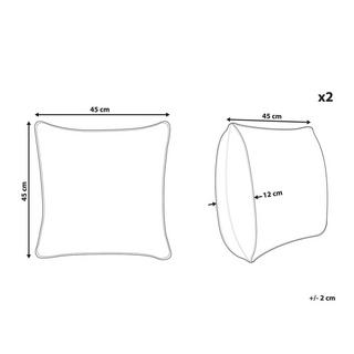 Beliani Set di 2 cuscini en Velluto Glamour ALYSSUM  