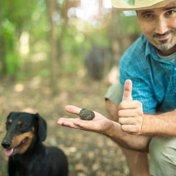 Chasse aux truffes avec chiens et repas pour 2 personnes - Coffret Cadeau