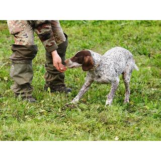 Smartbox  Chasse aux truffes avec chiens et repas pour 2 personnes - Coffret Cadeau 