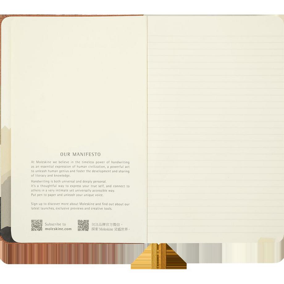 MOLESKINE Notizbuch Herr Der Ringe Frodo & Sam  