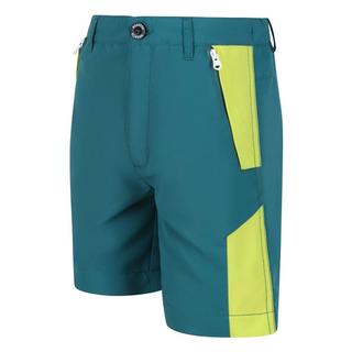 Regatta  Sorcer II Shorts 