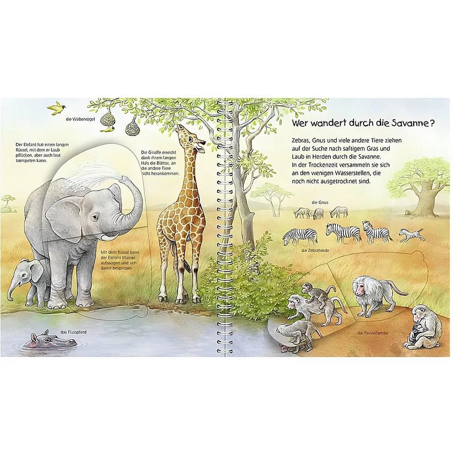 Wieso? Weshalb? Warum? Mein junior-Lexikon: Tiere Möller, Anne (Illustrationen) Gebundene Ausgabe 