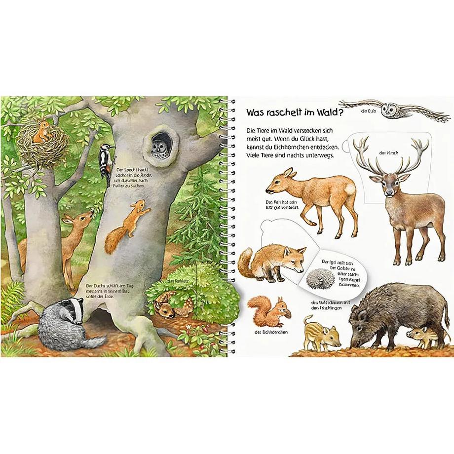 Wieso? Weshalb? Warum? Mein junior-Lexikon: Tiere Möller, Anne (Illustrationen) Gebundene Ausgabe 