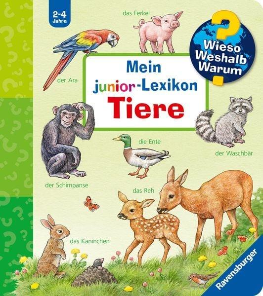 Wieso? Weshalb? Warum? Mein junior-Lexikon: Tiere Möller, Anne (Illustrationen) Copertina rigida 