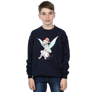 Disney  Fairy Sweatshirt 