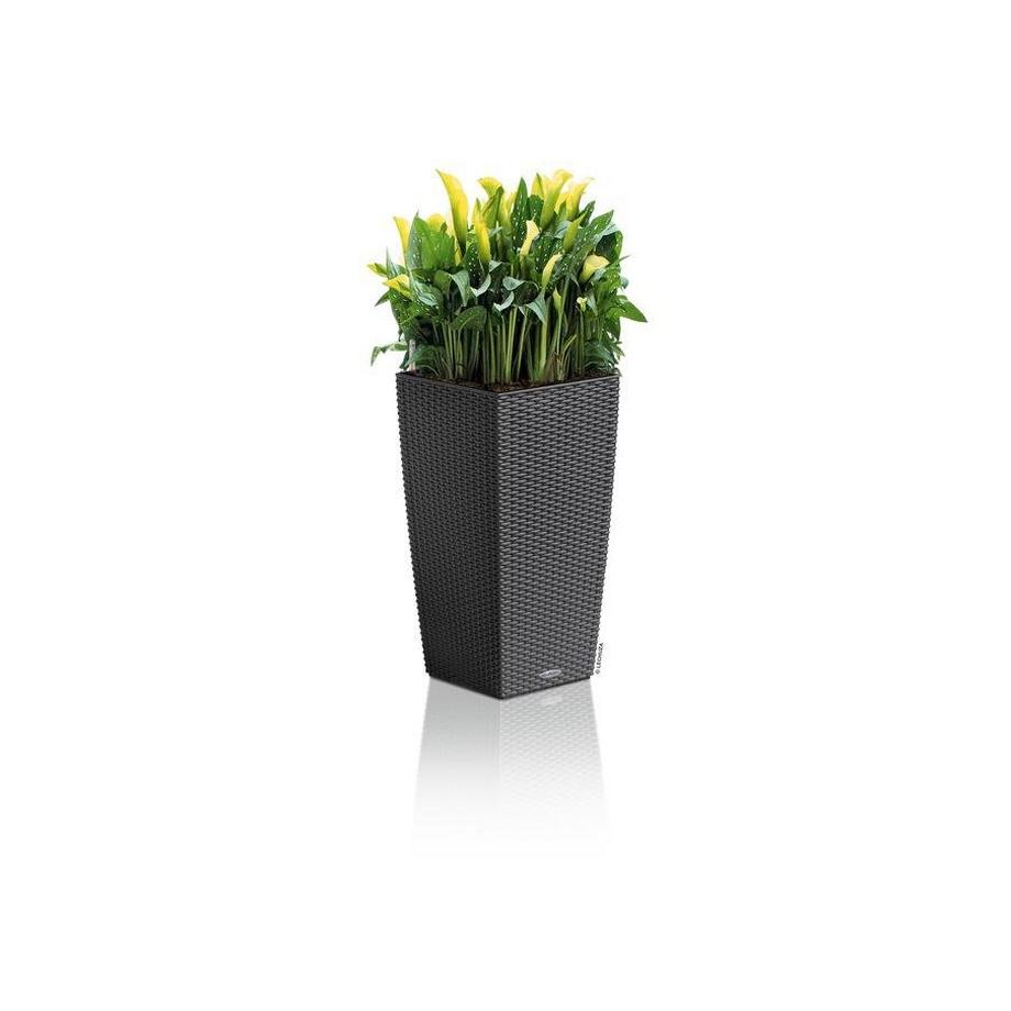 Lechuza Trend Collection CUBICO Cottage all-in-one  