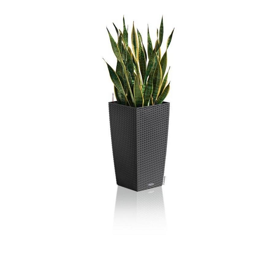 Lechuza Trend Collection CUBICO Cottage all-in-one  