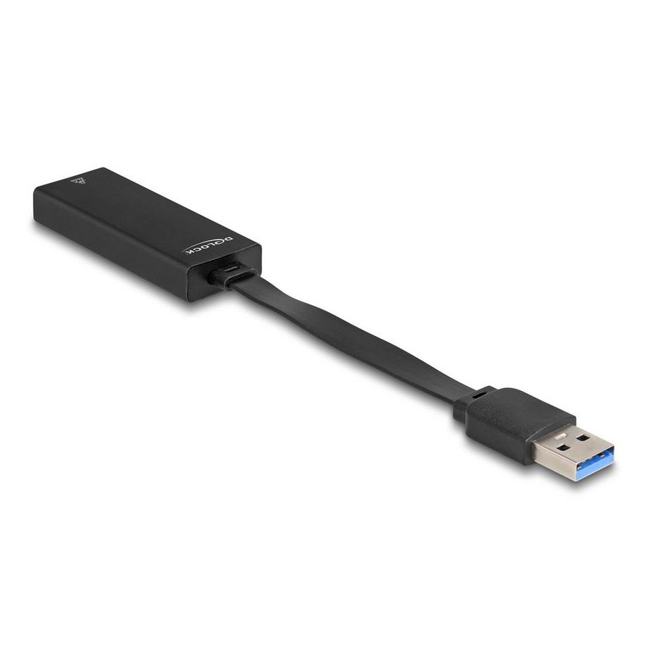 DeLock  DeLOCK 66245 Kabeladapter USB Type-A RJ-45 Schwarz 