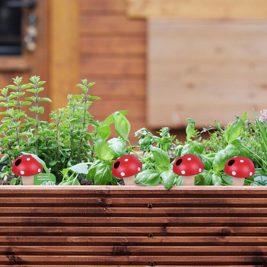 B2X  Set mit 4 Pilzen in Tonkegeln 