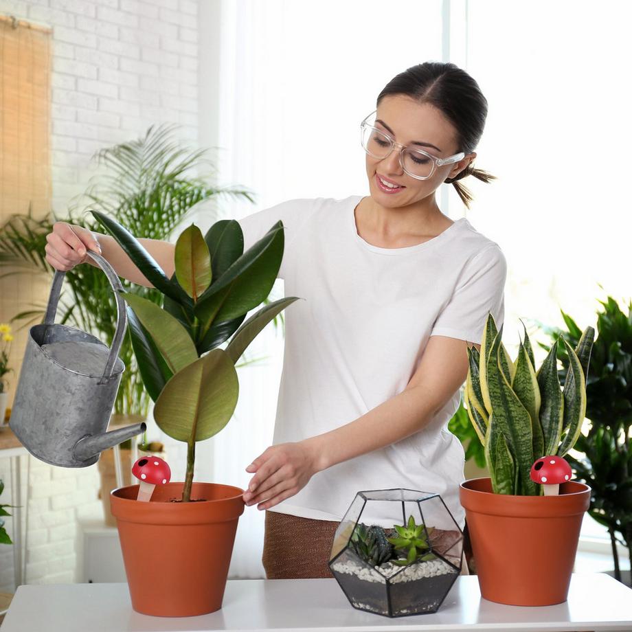 B2X  Set mit 4 Pilzen in Tonkegeln 