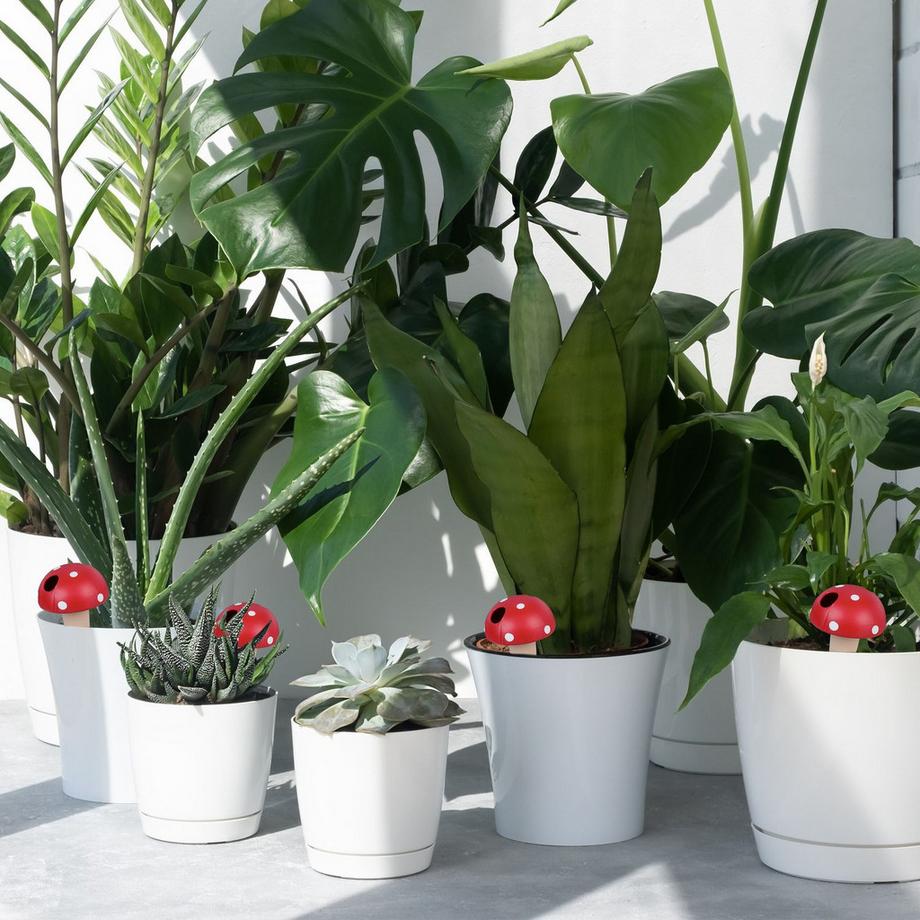 B2X  Set mit 4 Pilzen in Tonkegeln 