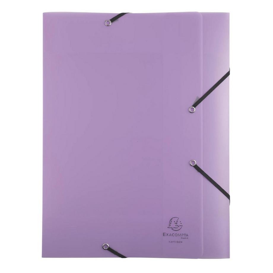 Exacompta Archivbox Exabox A4 PP 700µ, Rückenbreite 40mm, Chromaline Pastell - x 8  