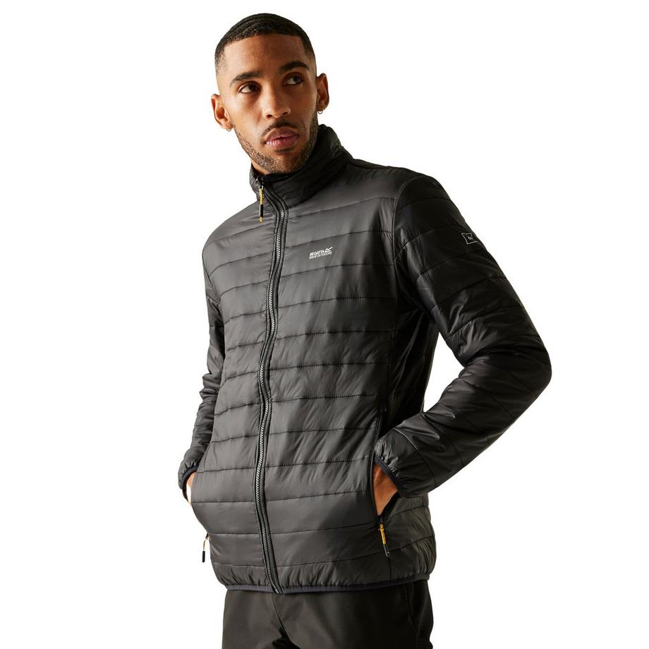 Regatta Veste Wentwood 3 en 1  