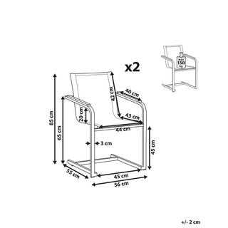 Beliani Set di 2 sedie da giardino en Acciaio inox Moderno COSOLETO  