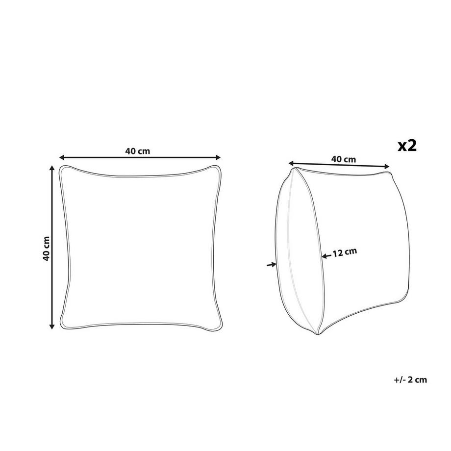 Beliani Lot de 2 coussins décoratifs en Coton Moderne RADZKOT  