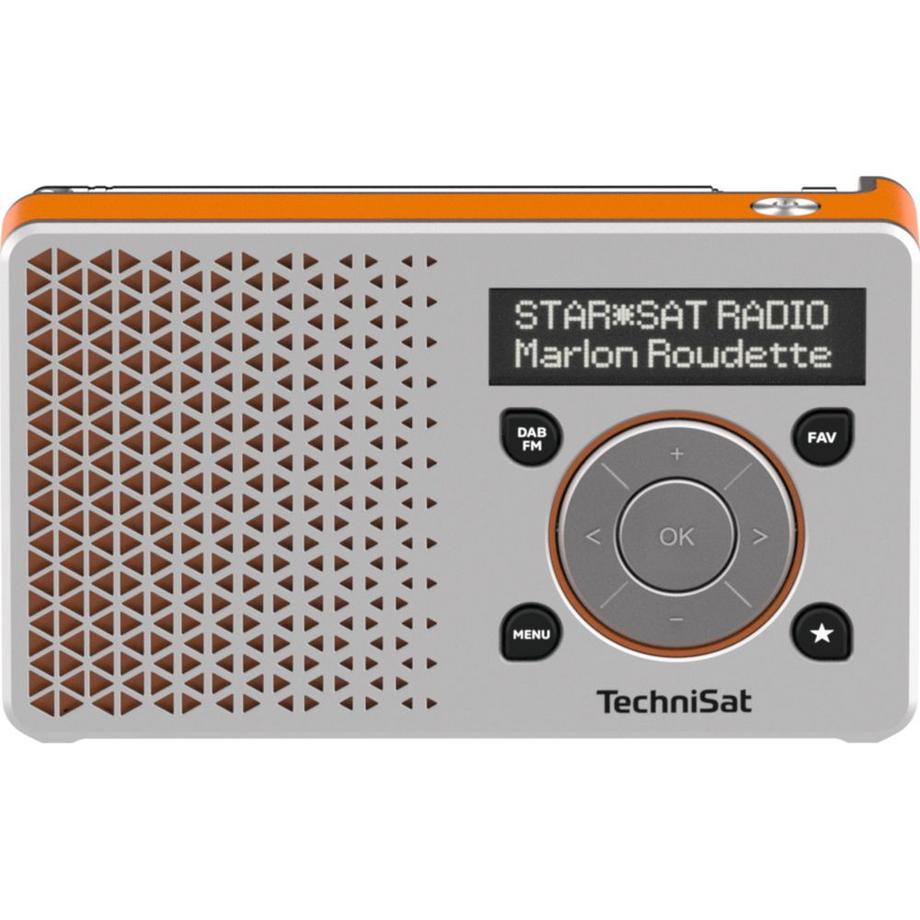 TechniSat  TechniSat DigitRadio 1 Portatile Digitale Arancione, Argento 