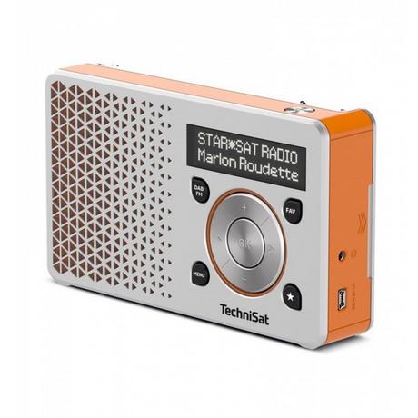 TechniSat  DAB+ Radio DigitRadio 1 