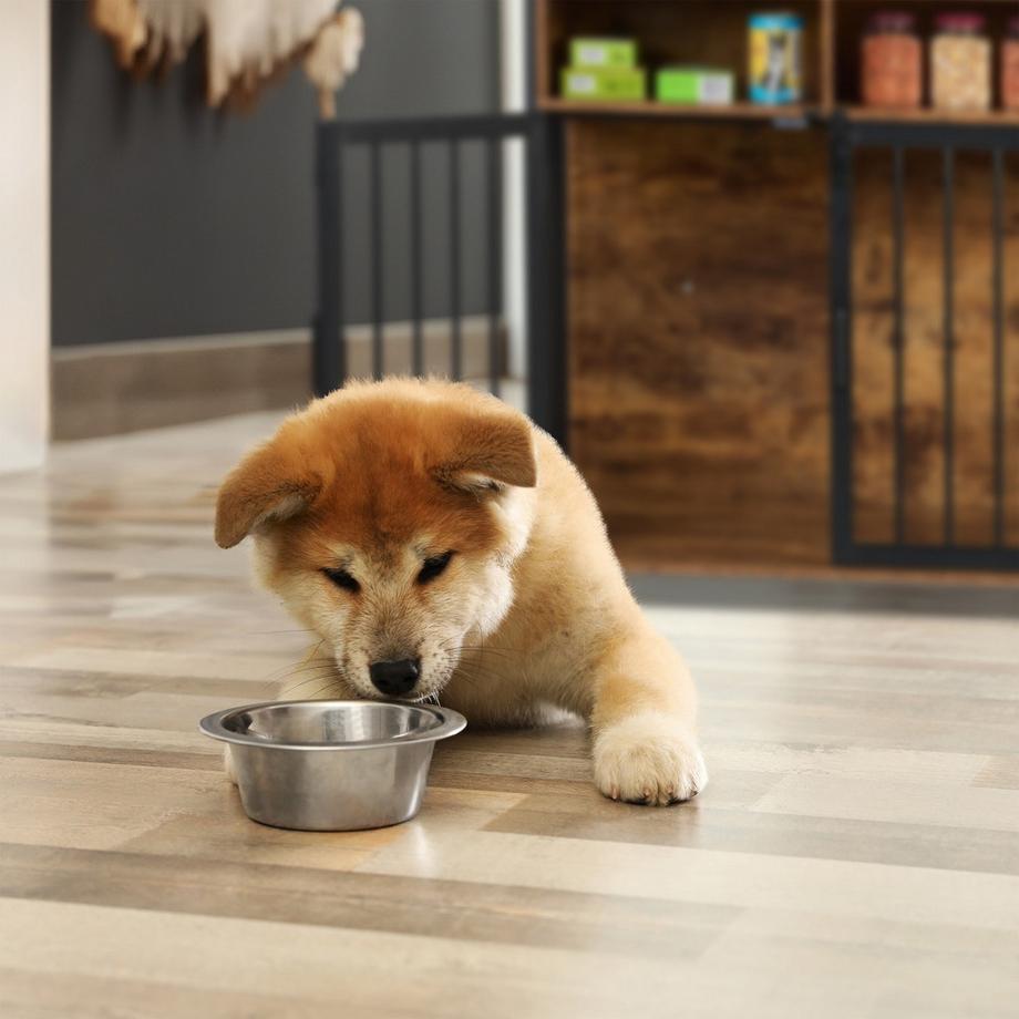 Northix  Cage pour chien de style meuble 