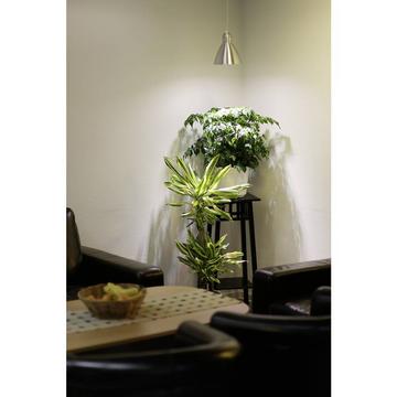 Lampe pour plantes E27 standard