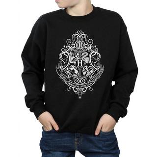 Harry Potter  Hogwarts Draco Dormiens Sweatshirt 