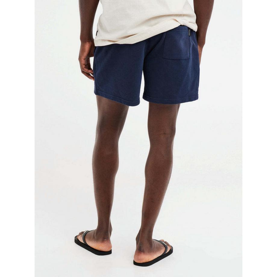 PROTEST PRTMORNE Shorts  