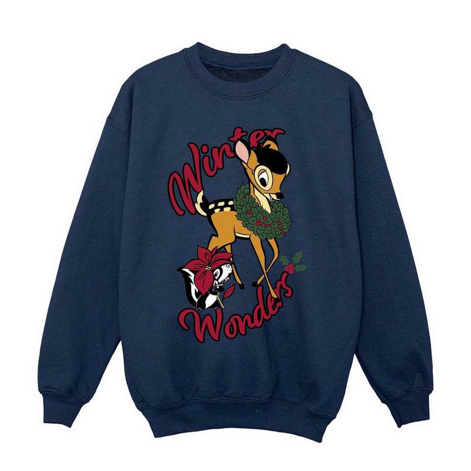 Winter Wonders Sweatshirt