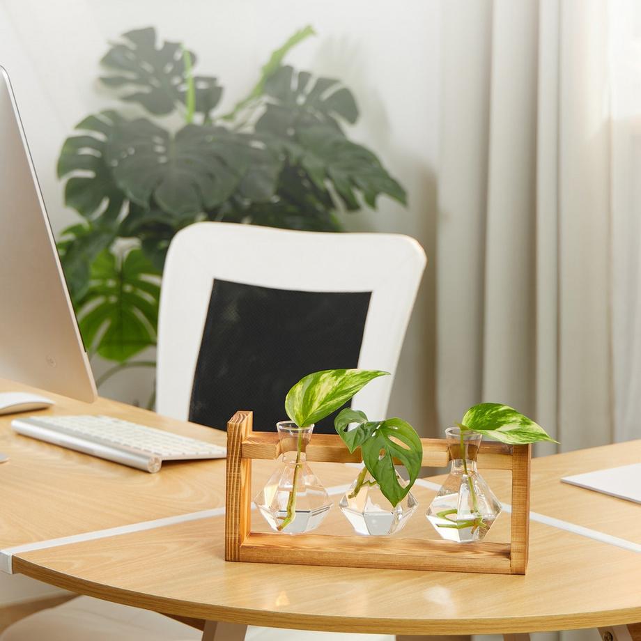 Northix Vaso per provette con supporto  