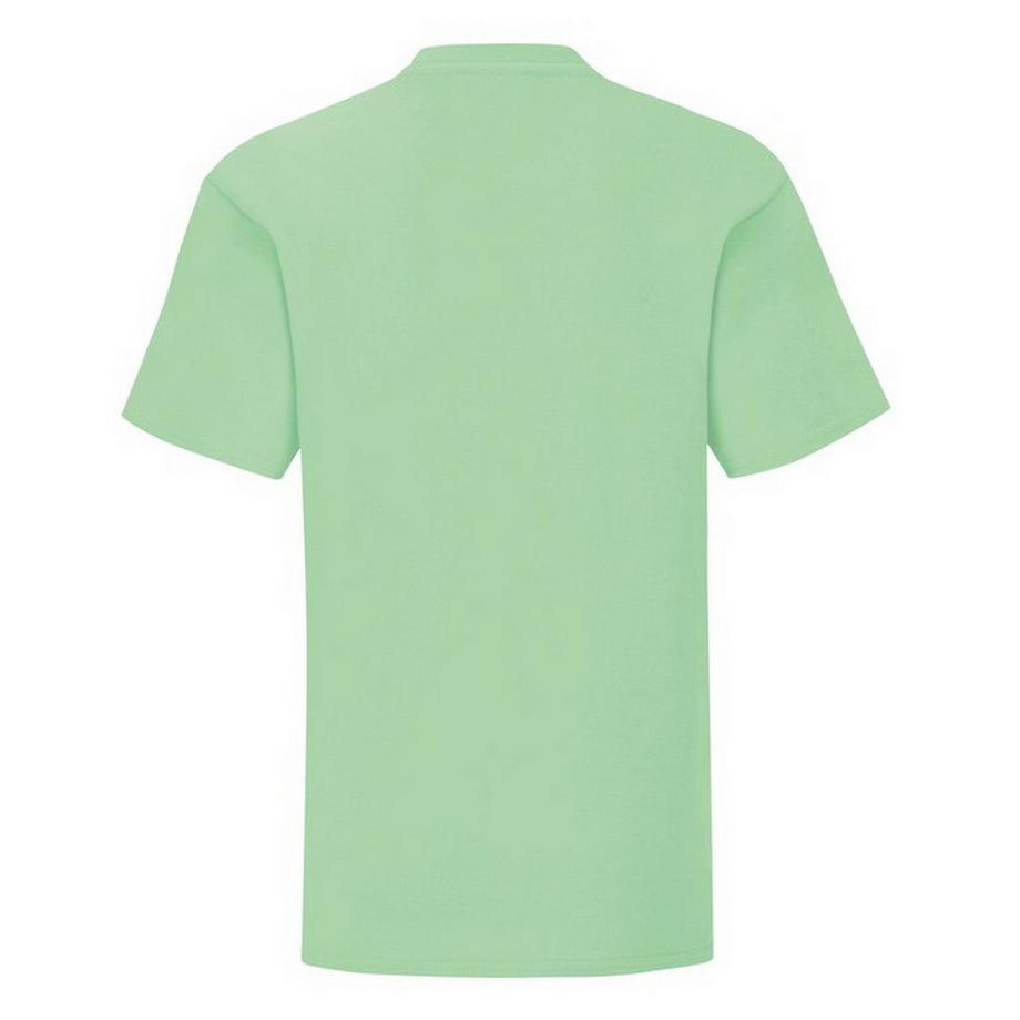 Fruit of the Loom  Iconic 150 TShirt 