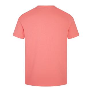 Canterbury Irland Team 2023 Baumwoll T-Shirt  