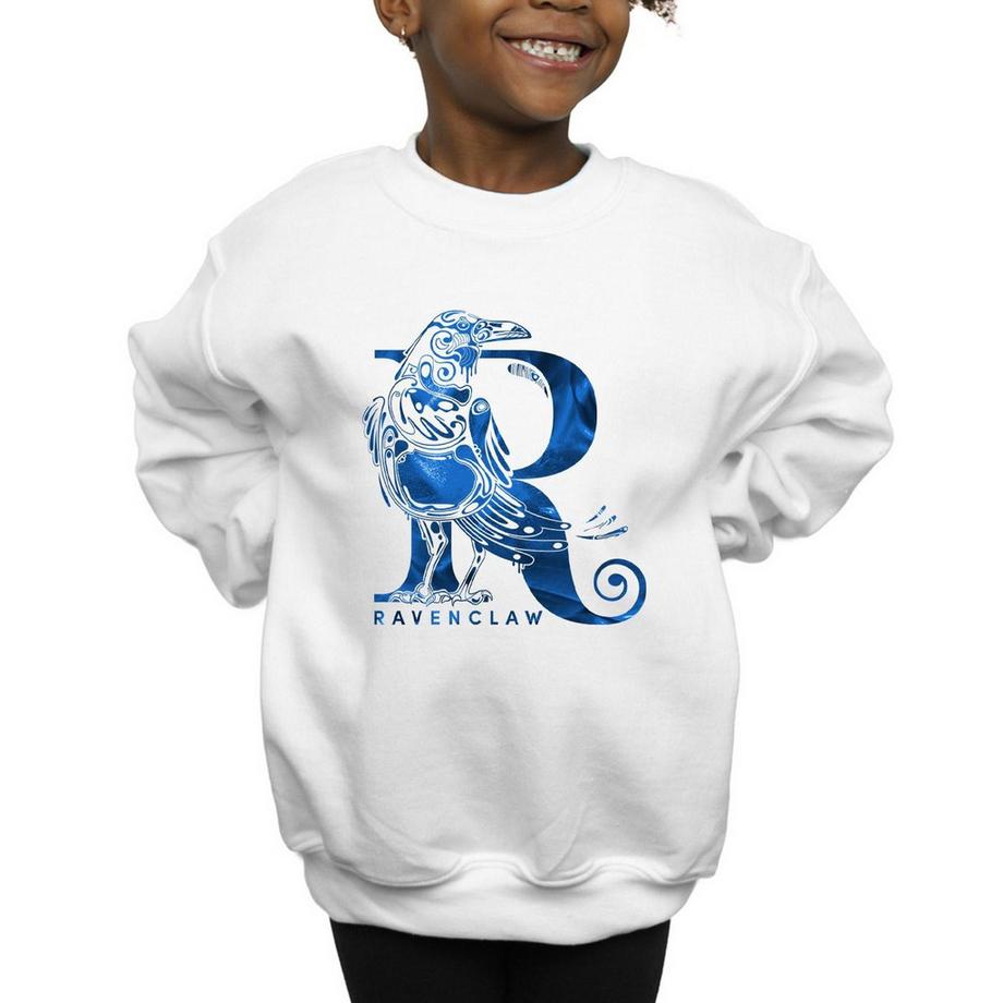 Harry Potter  Ravenclaw Sweatshirt 