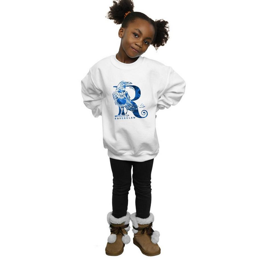 Harry Potter  Ravenclaw Sweatshirt 