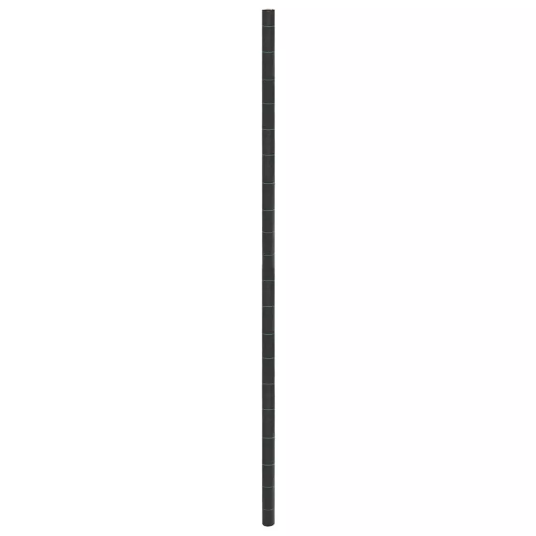 Membrana Antierbacce Nera 4x100 M In Pp - Vidaxl