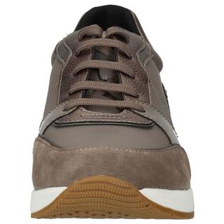 GEOX  Sneaker 