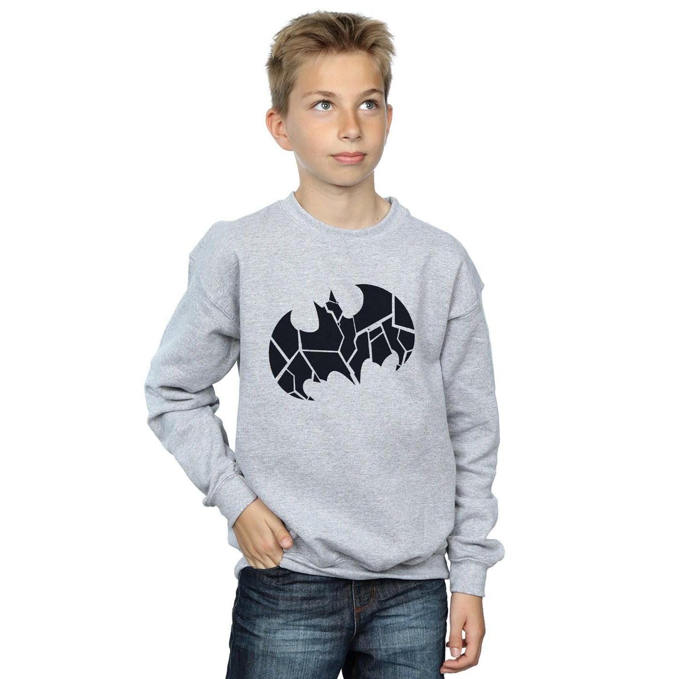 DC COMICS  Sweatshirt 