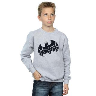 DC COMICS  Sweatshirt 