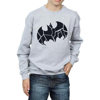 DC COMICS  Sweatshirt 