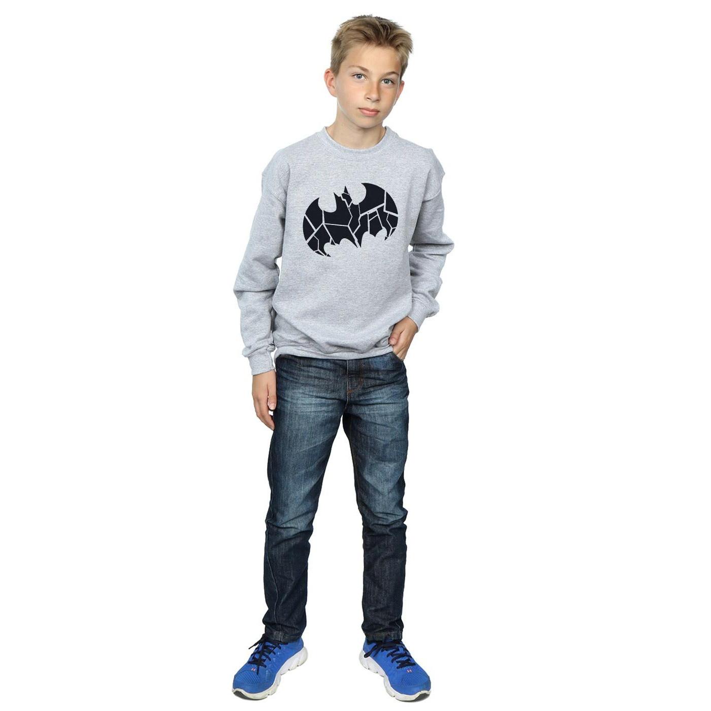 DC COMICS  Sweatshirt 