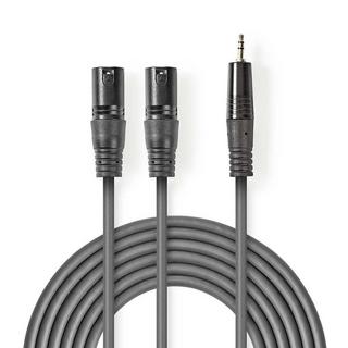 Nedis  Symmetrisches Audiokabel | 2x XLR 3-Pin Male | 3,5 mm Male | Vernickelt | 3,00 m | Rund | PVC | Dunkelgrau | Papphülle 