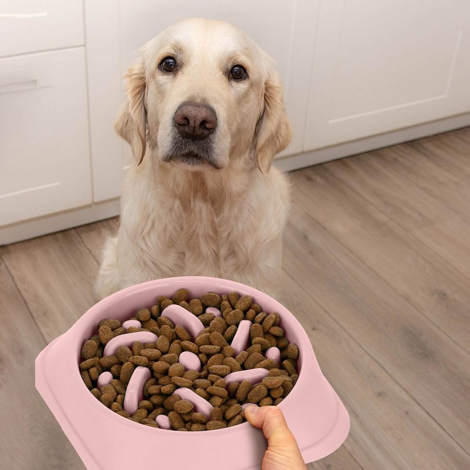 B2X  Anti-Schleuder-Schüssel 400 ml 