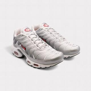 NIKE  Air Max Plus - Cool Grey 