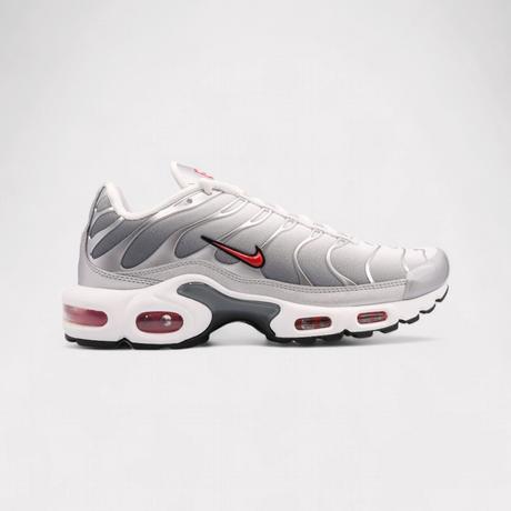 NIKE  Air Max Plus - Cool Grey 