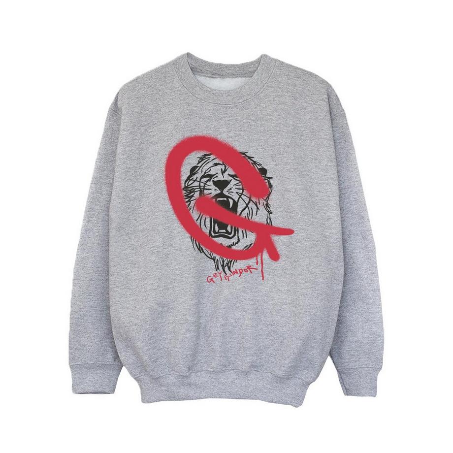 Harry Potter  Gryffindor Sweatshirt 