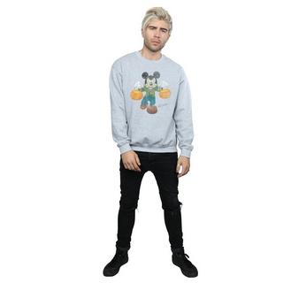 Disney  Sweatshirt 